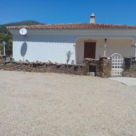 Bed and Breakfast Sa Tanca De Su Mare Budoni Esterno foto